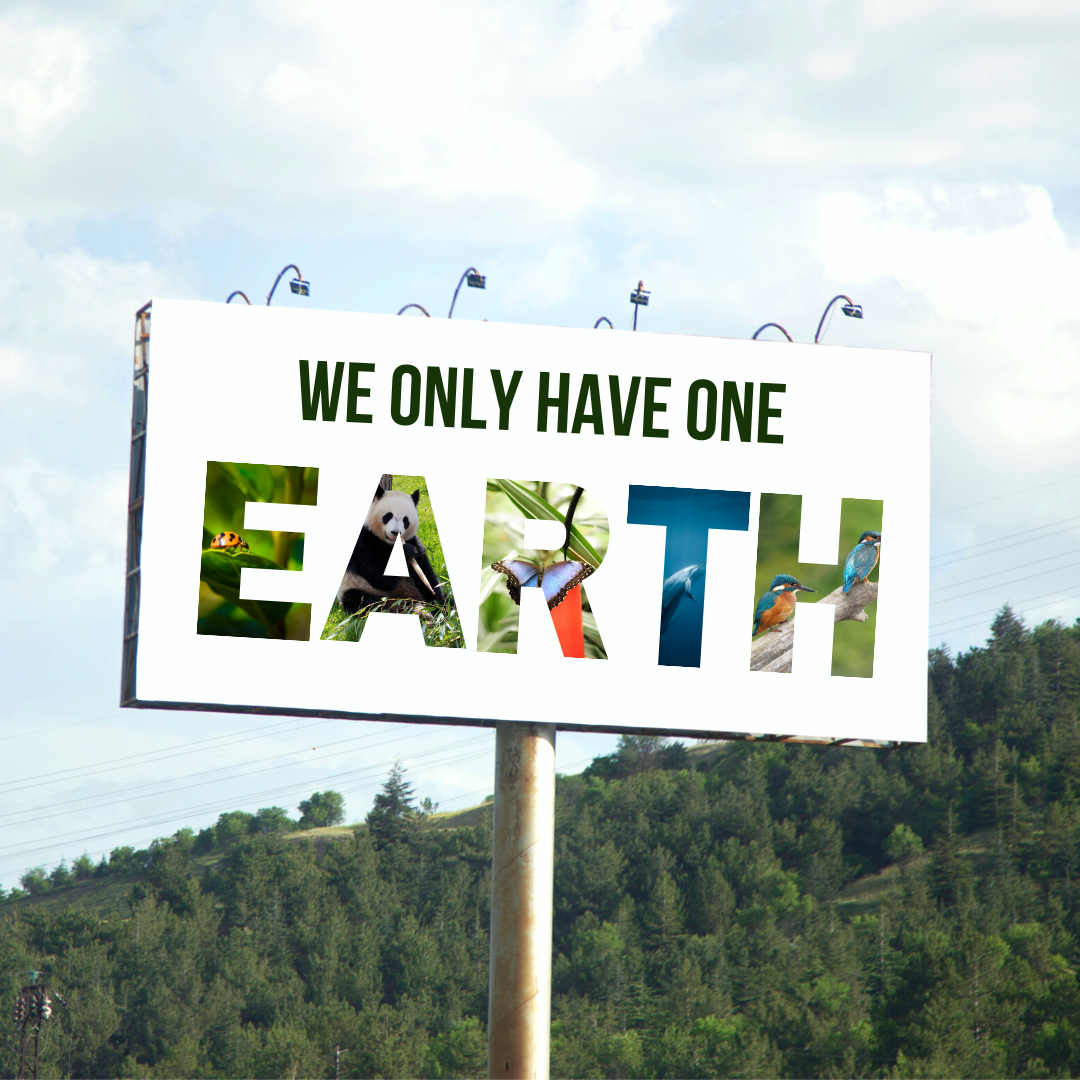 Leaders In Environmentally Friendly Signage